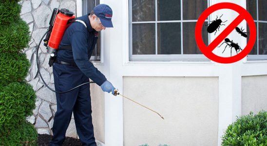 Bostanlı Tahtakurusu İlaçlama böcek ilaçlama ve haşere kontrolü — ilaclama-tr.com